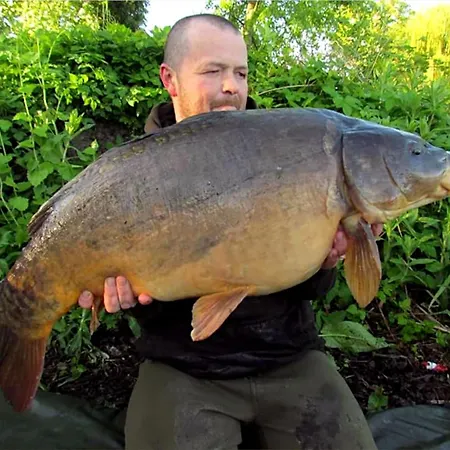 Oak 8 Hot Tub ヨーク